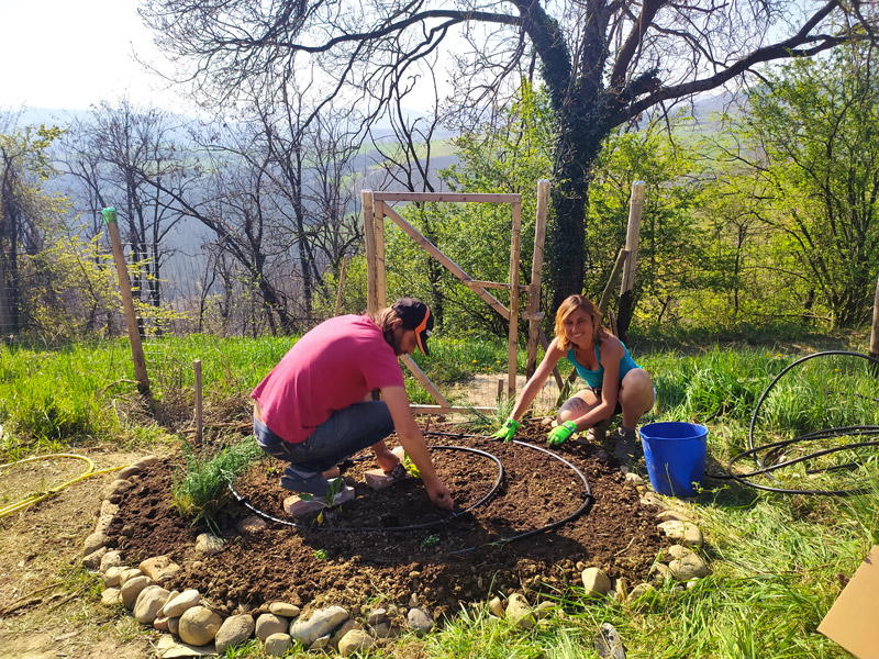 Planting a garden bed