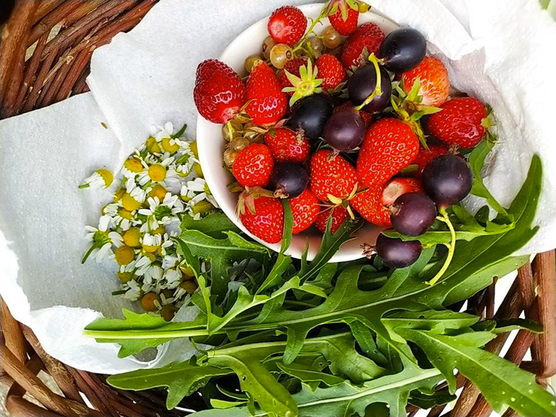 Fruit basket