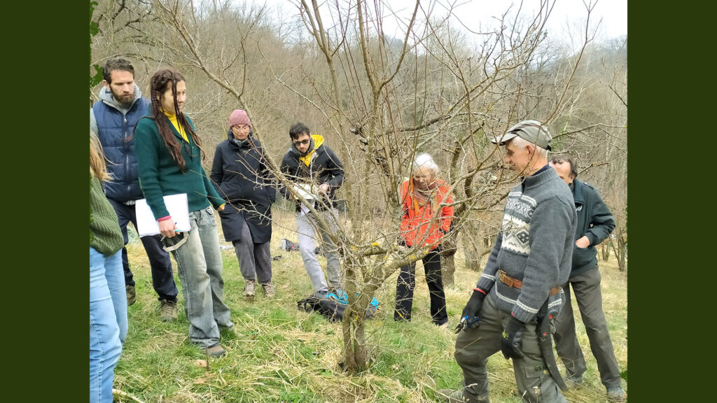 Corso con Ivan Baratto