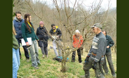 Il giardino in primavera: cura del suolo e pratiche d’abbondanza