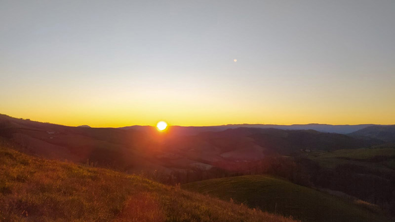 Presenza mentale e natura: ritiro in silenzio