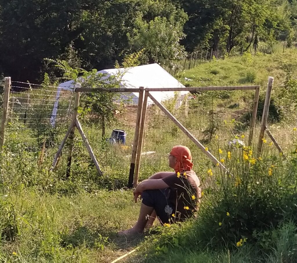 Contemplando il silenzio nella natura