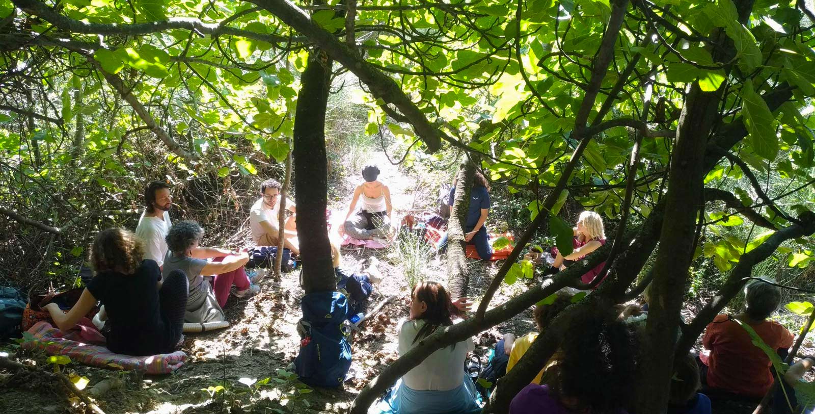 MenteCuoreMani: esperienza di meditazione, cura della Terra e comunità