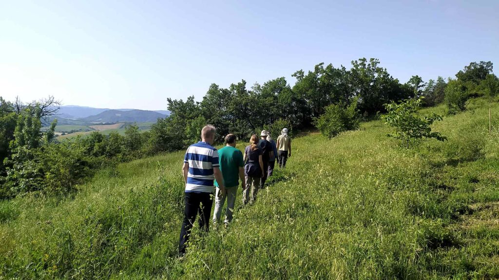 Giornata di presenza mentale nella natura