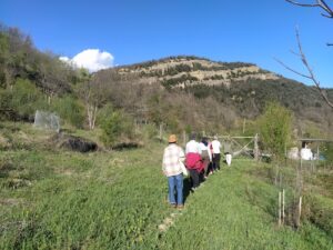 meditazione camminata