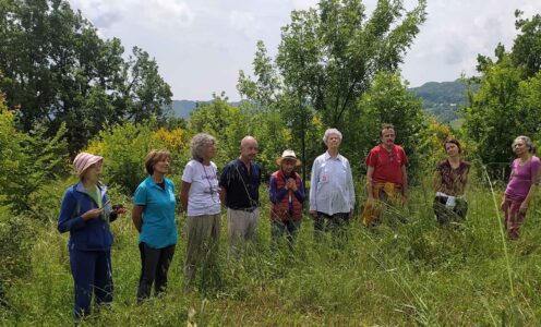 Abbiamo annaffiato buoni semi