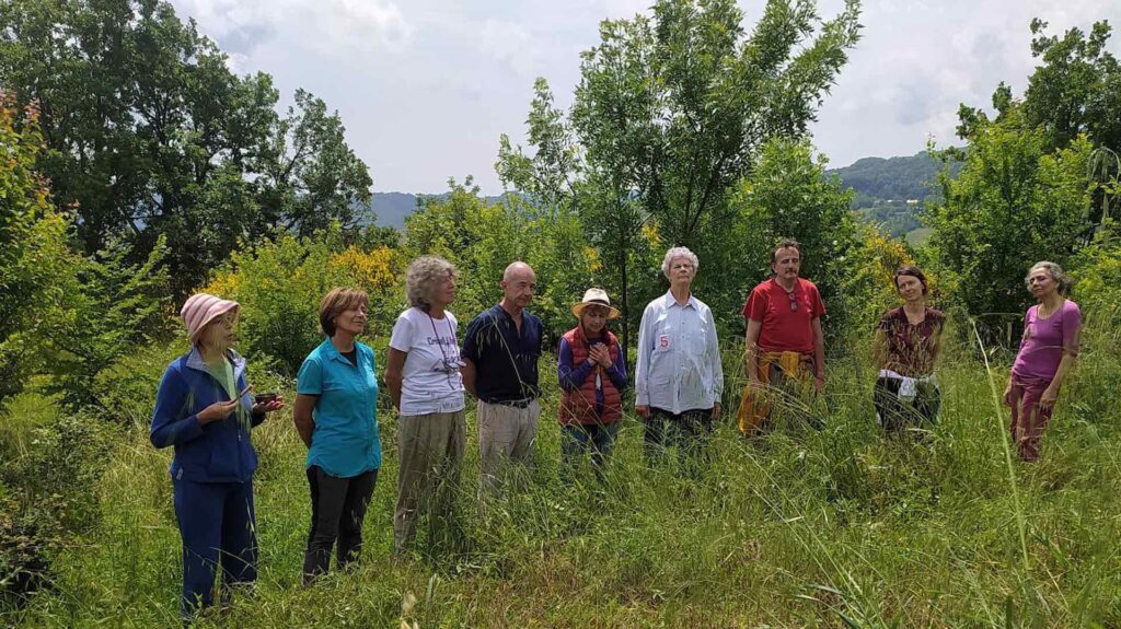 Relazioni in cima