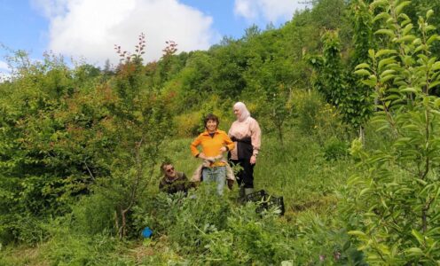 Mind, Heart and Hands: meditation, Earth-care and community