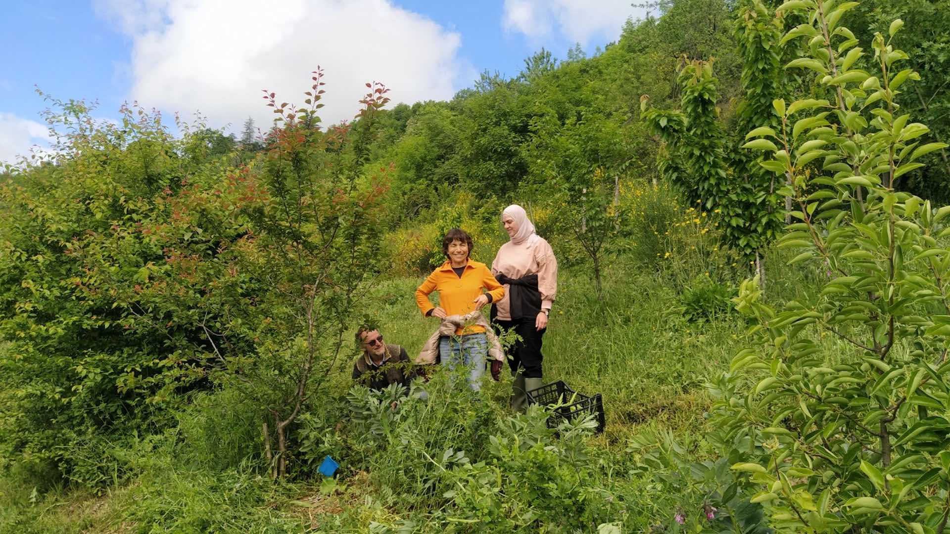 Mind, Heart and Hands: meditation, Earth-care and community