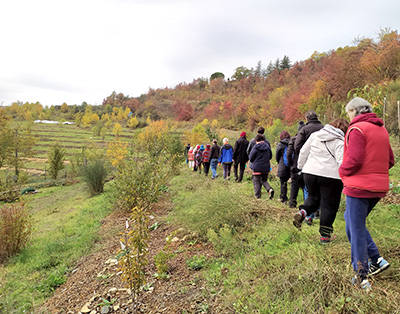 Walking meditation in nature