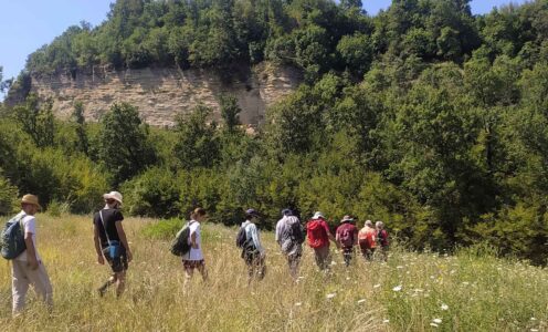 I Cinque Addestramenti: Ritiro di presenza mentale a Pardesa