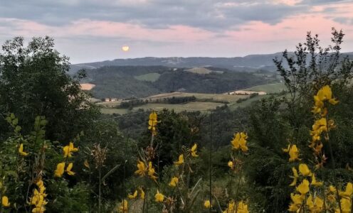 La fiducia come via spirituale