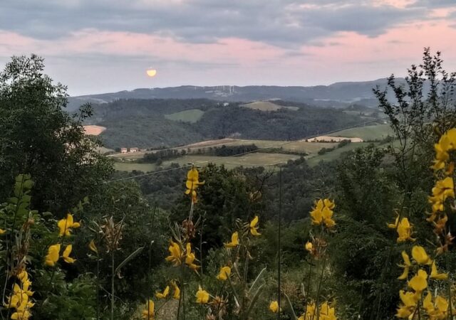 paesaggio per contemplare