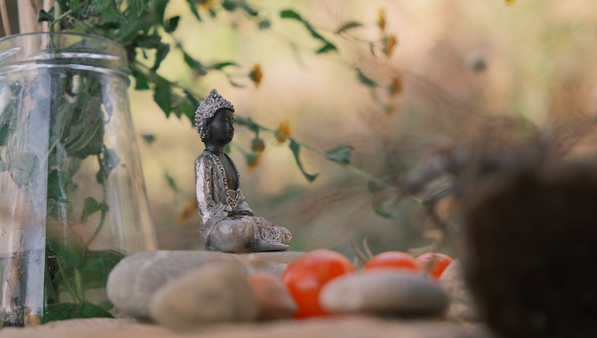 La guarigione come via spirituale