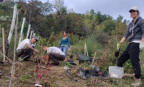 Volunteering at Pardesa