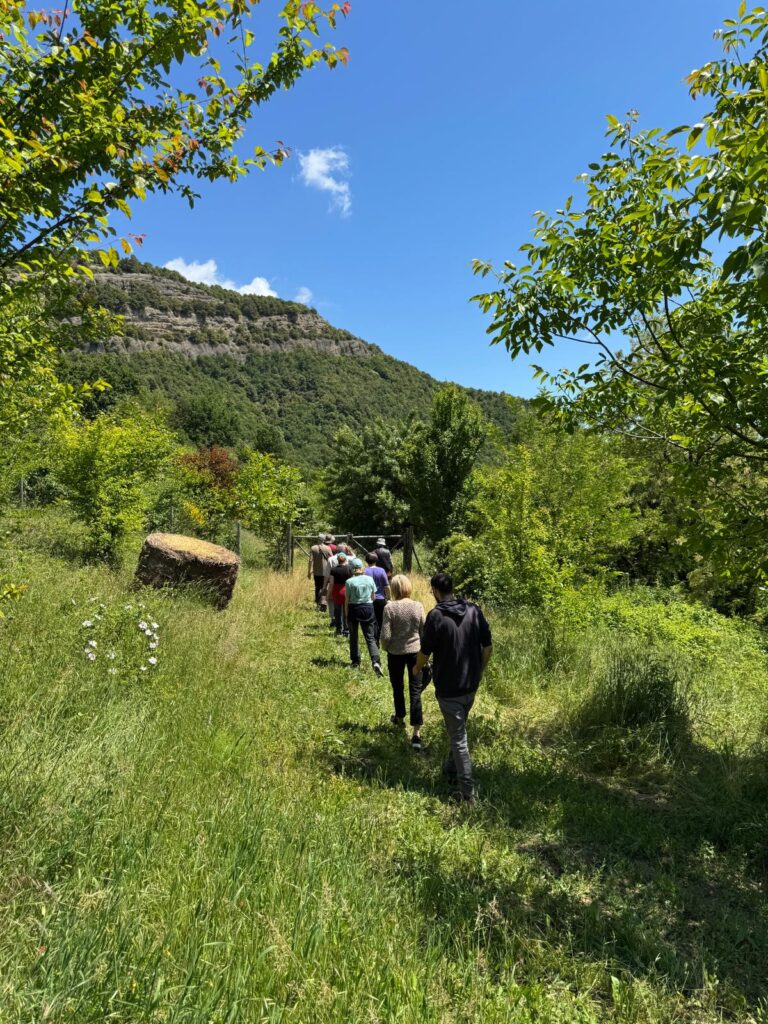 meditazione camminata