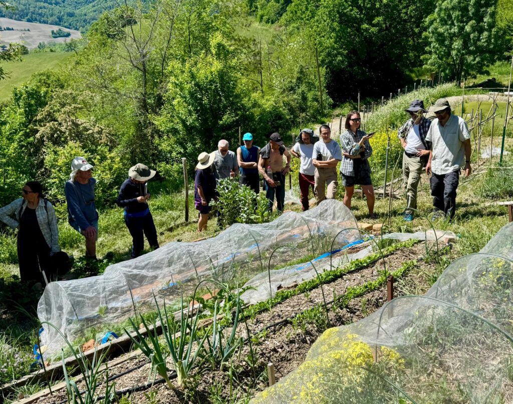 Tutti nell'orto a Pardesa