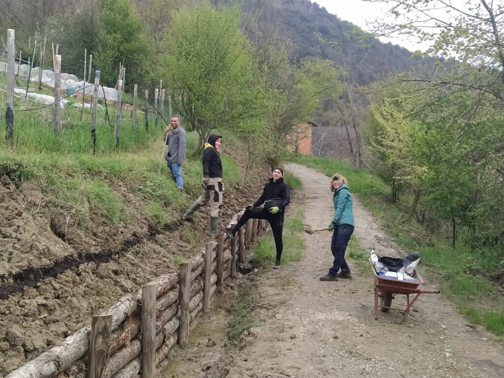 Team Vetiver