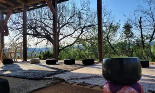 Praticare con la psicologia buddhista: Le 51 formazioni mentali