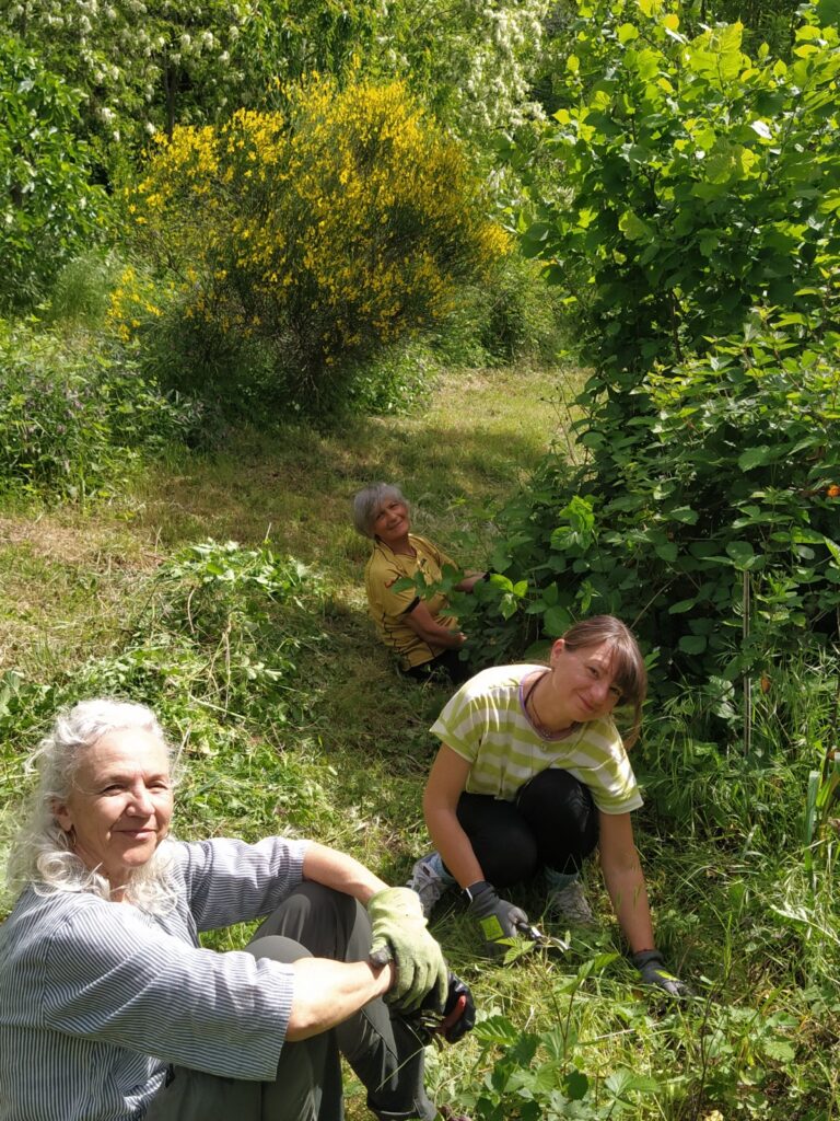 Cura nel frutteto