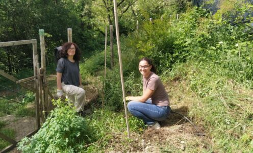 Noi e gli alberi: giornata di cura nel frutteto