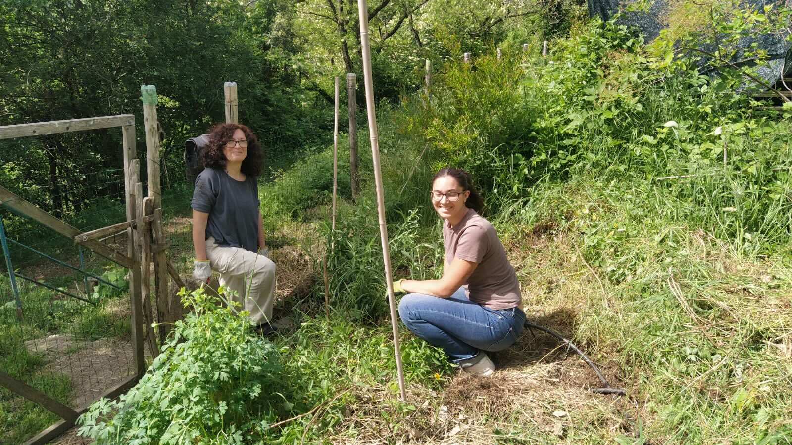 Noi e gli alberi: giornata di cura nel frutteto