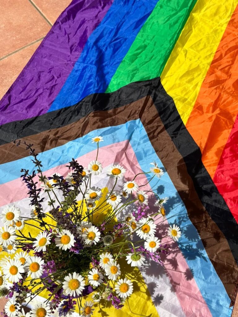 pride e mindfulness